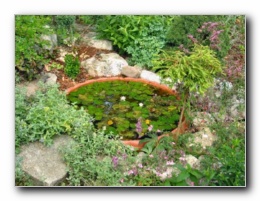 Kliknite za pove�avo slike