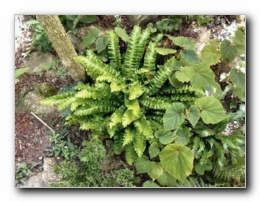 Kliknite za pove�avo slike