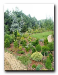 Kliknite za pove�avo slike