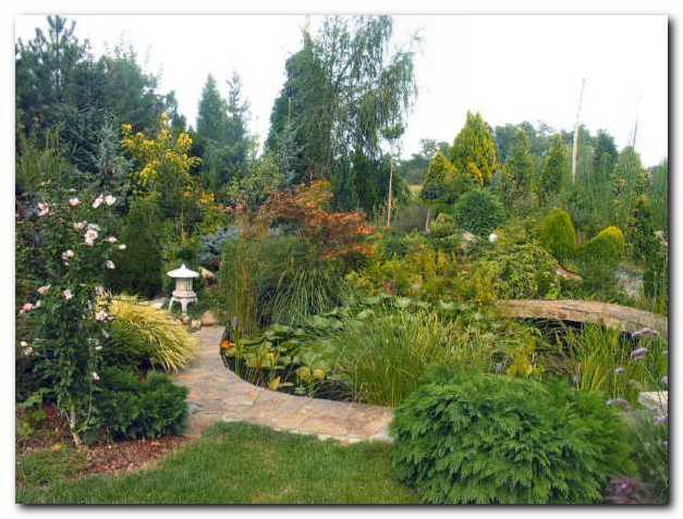 Pogled na del vrta ob bajerju