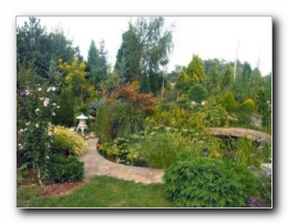 Kliknite za pove�avo slike