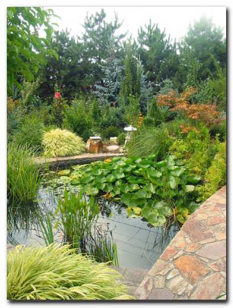 Pogled na del vodnega vrta