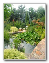 Kliknite za pove�avo slike