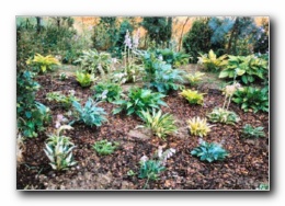 Kliknite za pove�avo slike