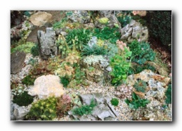 Kliknite za pove�avo slike