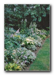 Kliknite za pove�avo slike