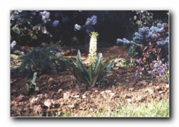 Kliknite za pove�avo slike