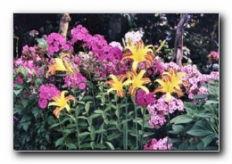 Kliknite za pove�avo slike