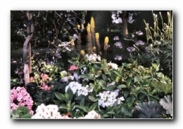 Kliknite za pove�avo slike