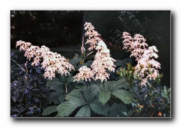 Kliknite za pove�avo slike