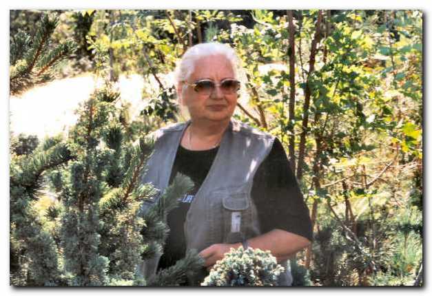 Slavica Prelog je svoj vrt pri�ela ustvarjati �e pred dobrimi �tirimi desetletji