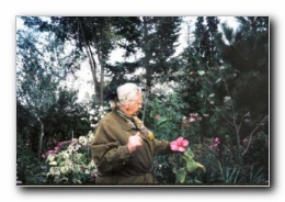 Kliknite za pove�avo slike