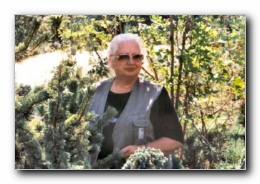 Kliknite za pove�avo slike