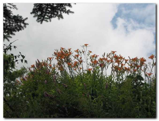 Oblaki se zgrinjajo nad maslenicami