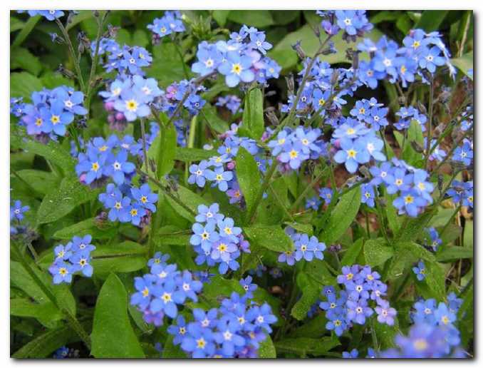 Pa naj �e kdo re�e,<br>da modra in zelena ne gresta skupaj!