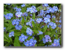 Kliknite za pove�avo slike