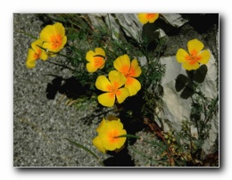 Kliknite za pove�avo slike