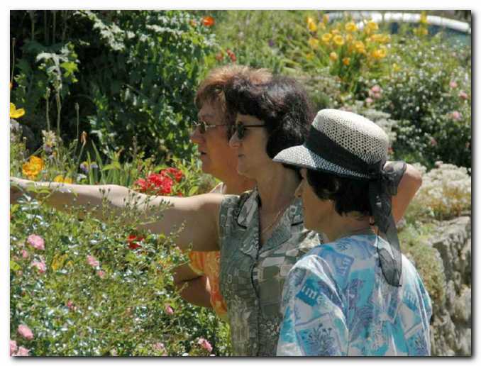 Sonja, povej,<br>katera je ta rastlina?