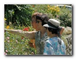 Kliknite za pove�avo slike