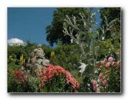 Kliknite za pove�avo slike