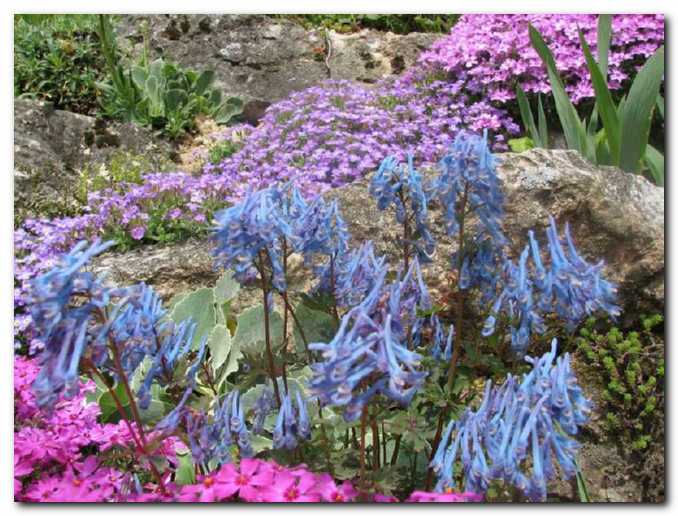 Prekrasna barvna skladnost