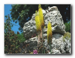 Kliknite za pove�avo slike