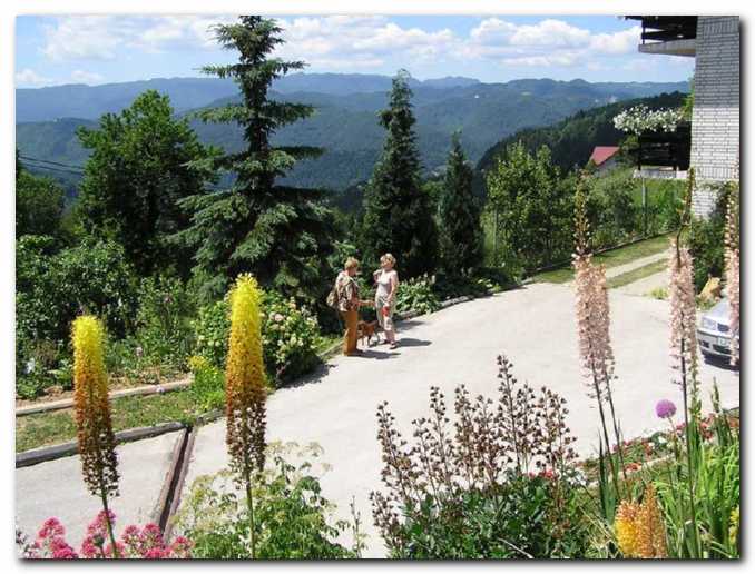 Vrt je zelo skladen<br>z naravo, ki ga obdaja