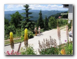 Kliknite za pove�avo slike