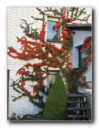 Kliknite za pove�avo slike