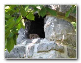 Kliknite za pove�avo slike