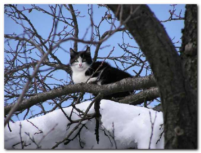 Suho, toplo in dovolj razgledno mesto