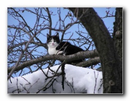 Kliknite za pove�avo slike