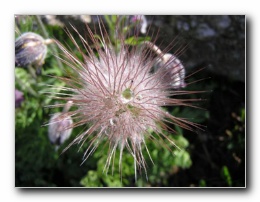 Kliknite za pove�avo slike