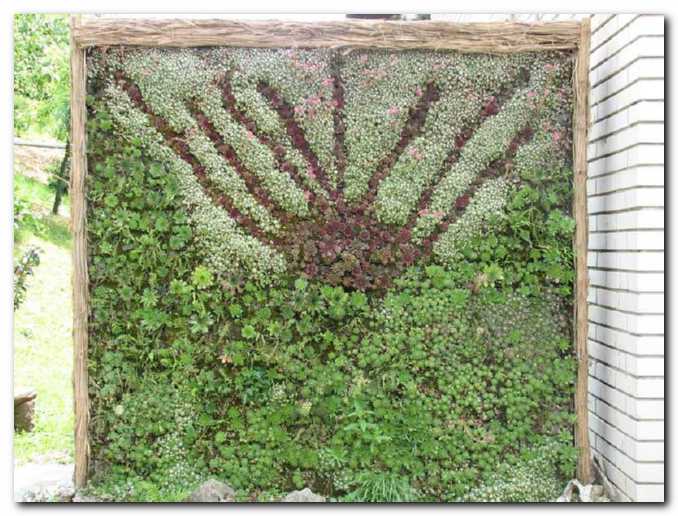 Sonjin son�ni vzhod<br>iz netreskov