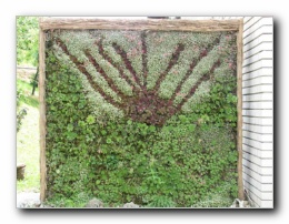 Kliknite za pove�avo slike