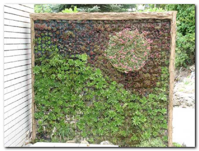 Cveto�i ��ip<br>iz netreskov