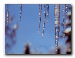 Kliknite za pove�avo slike