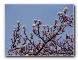 Kliknite za pove�avo slike