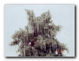 Kliknite za pove�avo slike