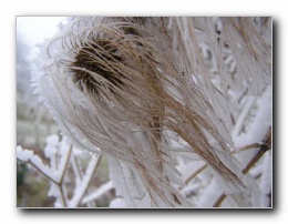 Kliknite za pove�avo slike