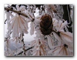 Kliknite za pove�avo slike