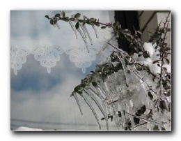 Kliknite za pove�avo slike