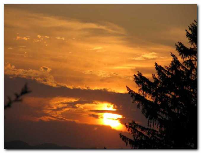 Zlata lu� o�arja nebo