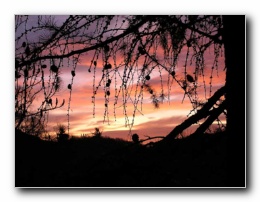 Kliknite za pove�avo slike