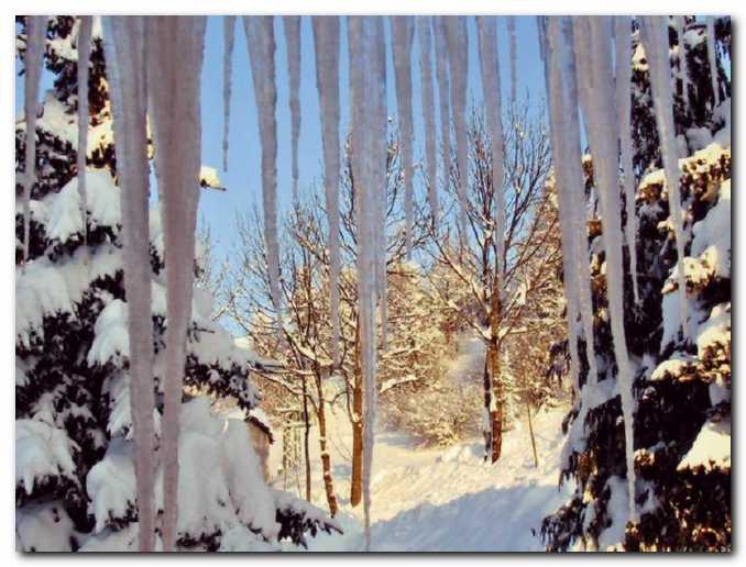 Zimski motiv<br> s Sonjinega okna