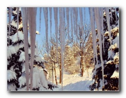 Kliknite za pove�avo slike